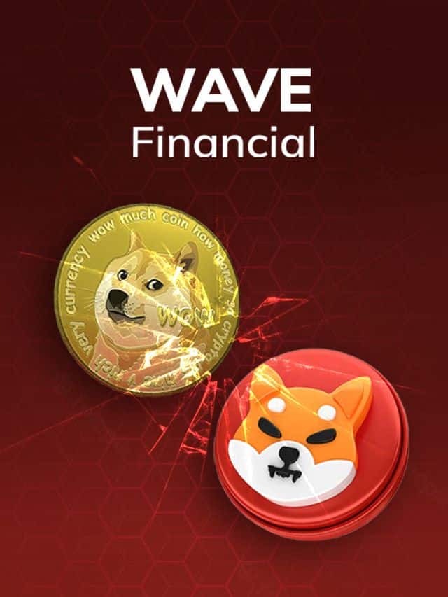 Wave Financial Co-Founder Warns Against Meme Coin Surge