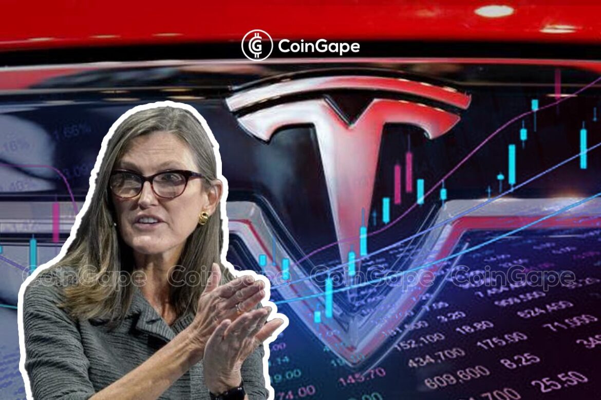 Cathie Wood’s Firm Buys Over 13K Tesla Shares
