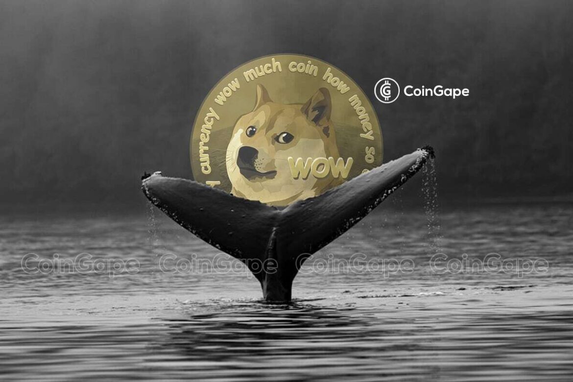 DOGE Price Surge Over This Whales Move?