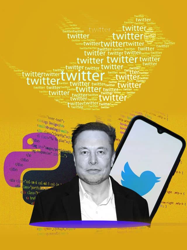 Elon Musk Gives Insight On Twitter API