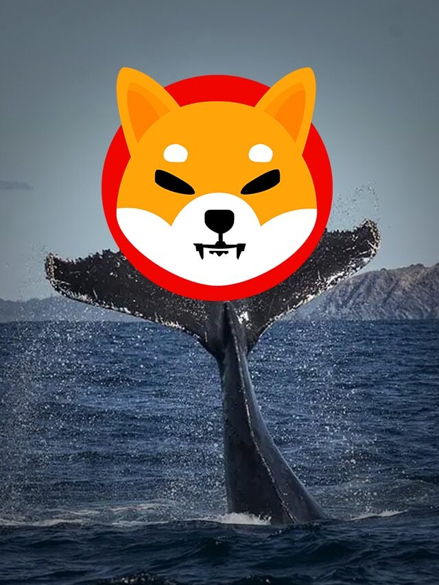 Mysterious Shiba Inu Whale Moves 25 Trillion SHIB To Cold Storage