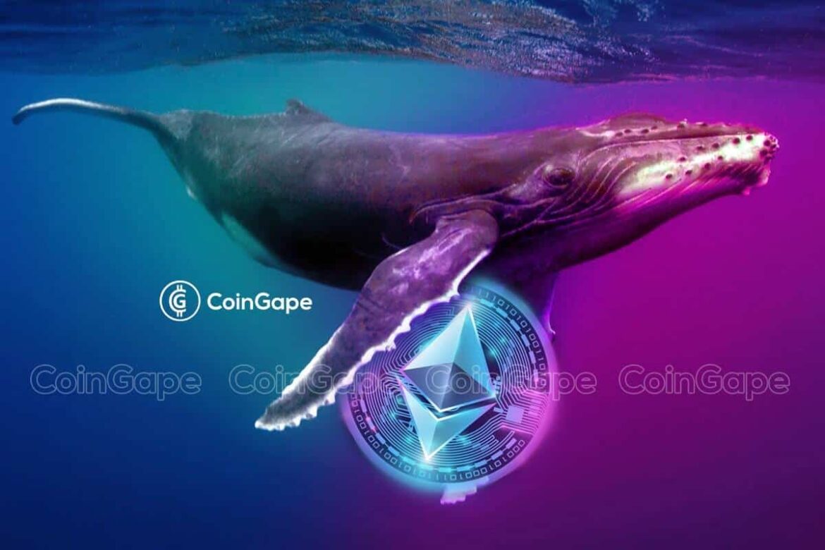 Altcoins Enter Deeper Correction With Strong Whale Activity