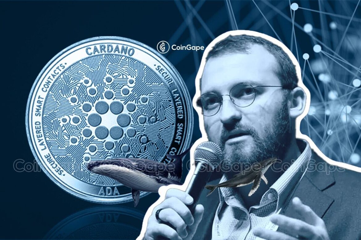 Cardano’s Charles Hoskinson Points Out Two Key Developments To Push ADA Price
