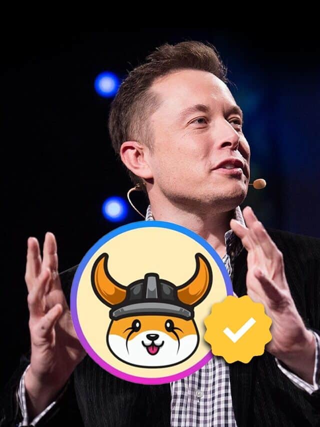 Elon Musk Verifies Floki Inu As Organization On Twitter