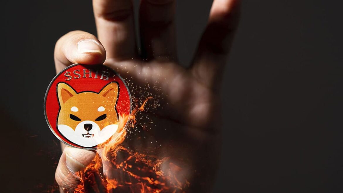 Shiba Inu Unveils Timeline to Pre-Order its Cold Wallet, Here’s Impact on price