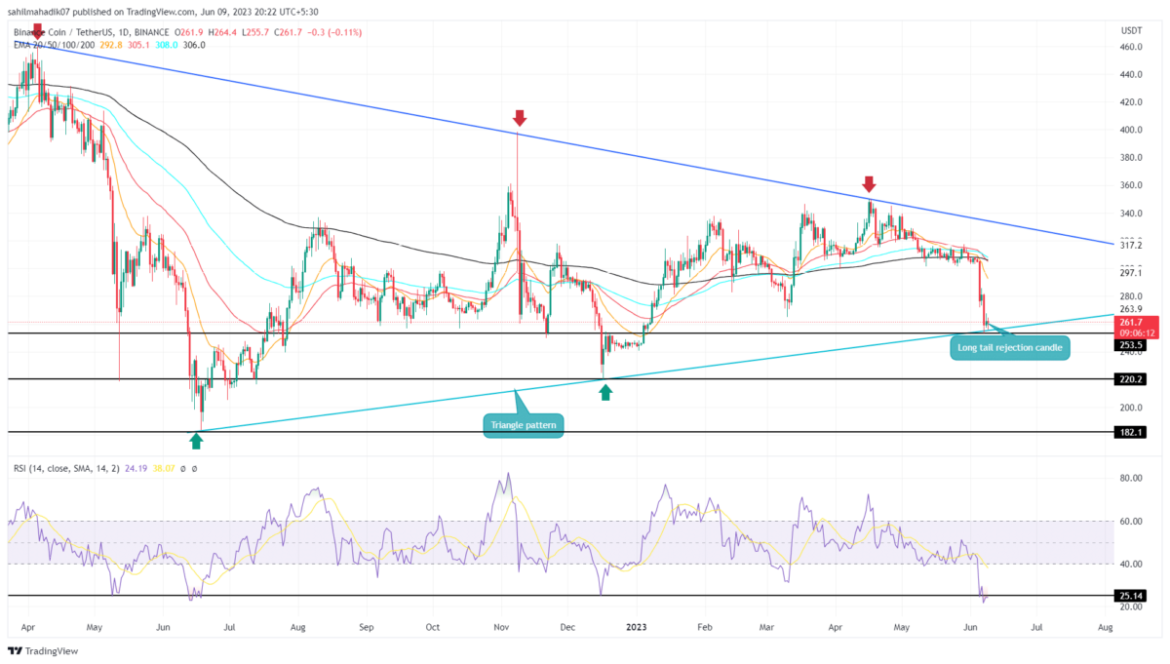 Falling $BNB Price Revisit Multi-Month Support; Best Dip Opportunity?