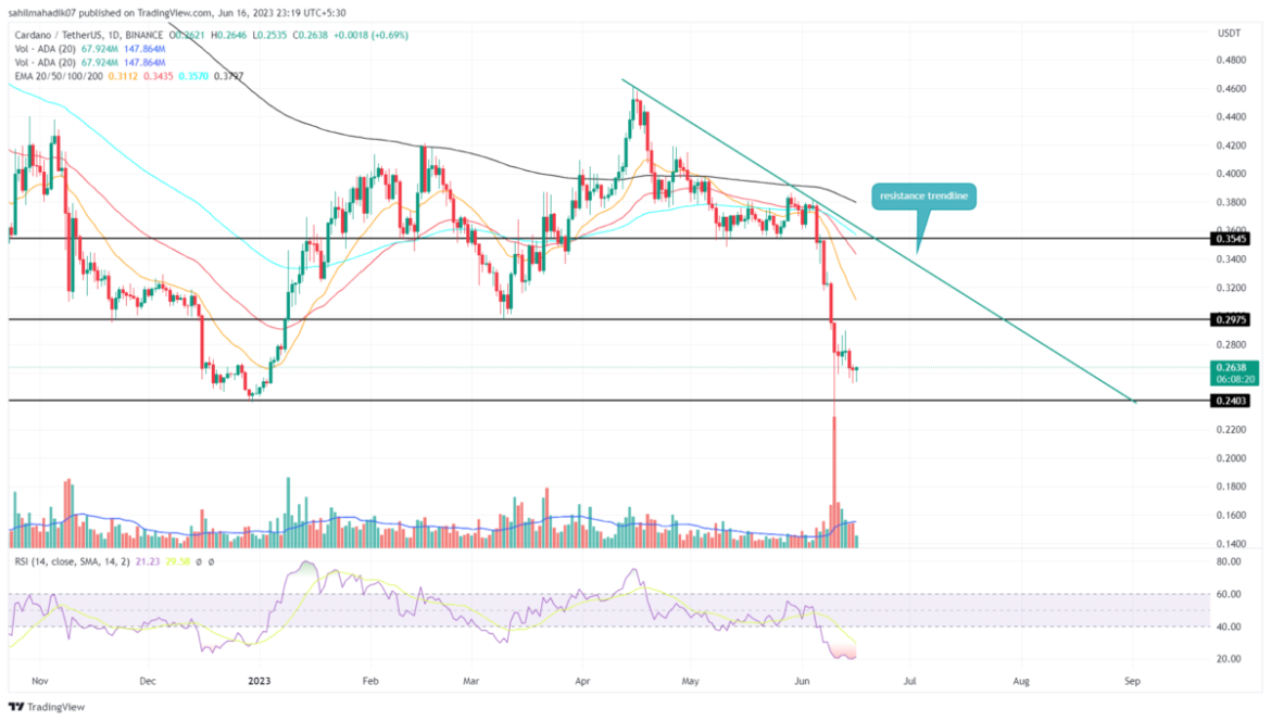 Can $ADA Price Hold $0.24 Support Amid Current Market Sell-off?