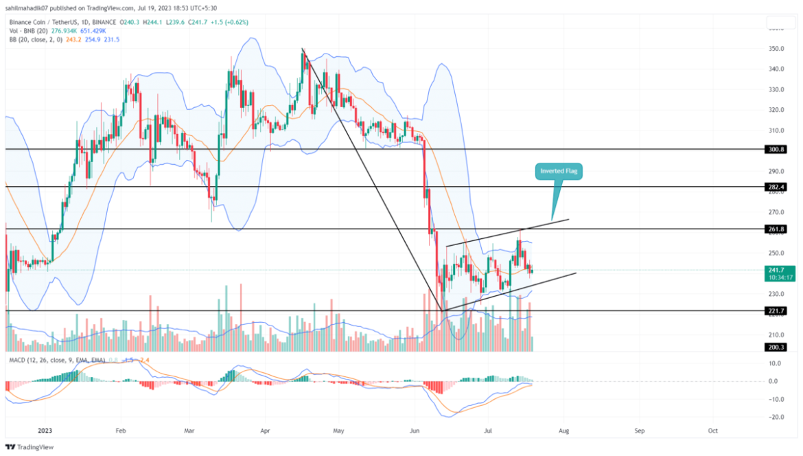 Is Binance Coin Price Heading for Major Correction? Bearish Pattern Sparks Fear of 20% Dip