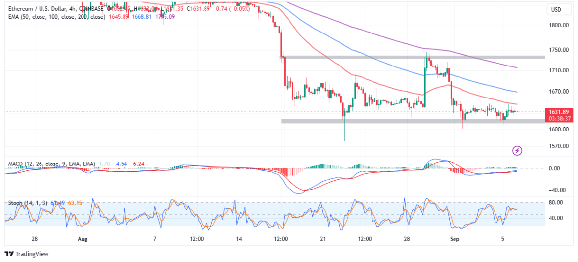 ETH Price Could Outperform Bitcoin In September and October 