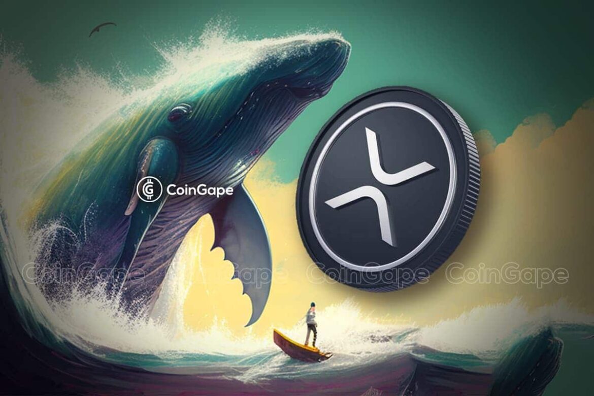 Whale Moves 24 Mln XRP To Exchange Amid XRP Price Rally